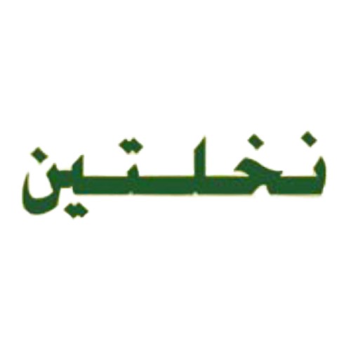 نخلتين