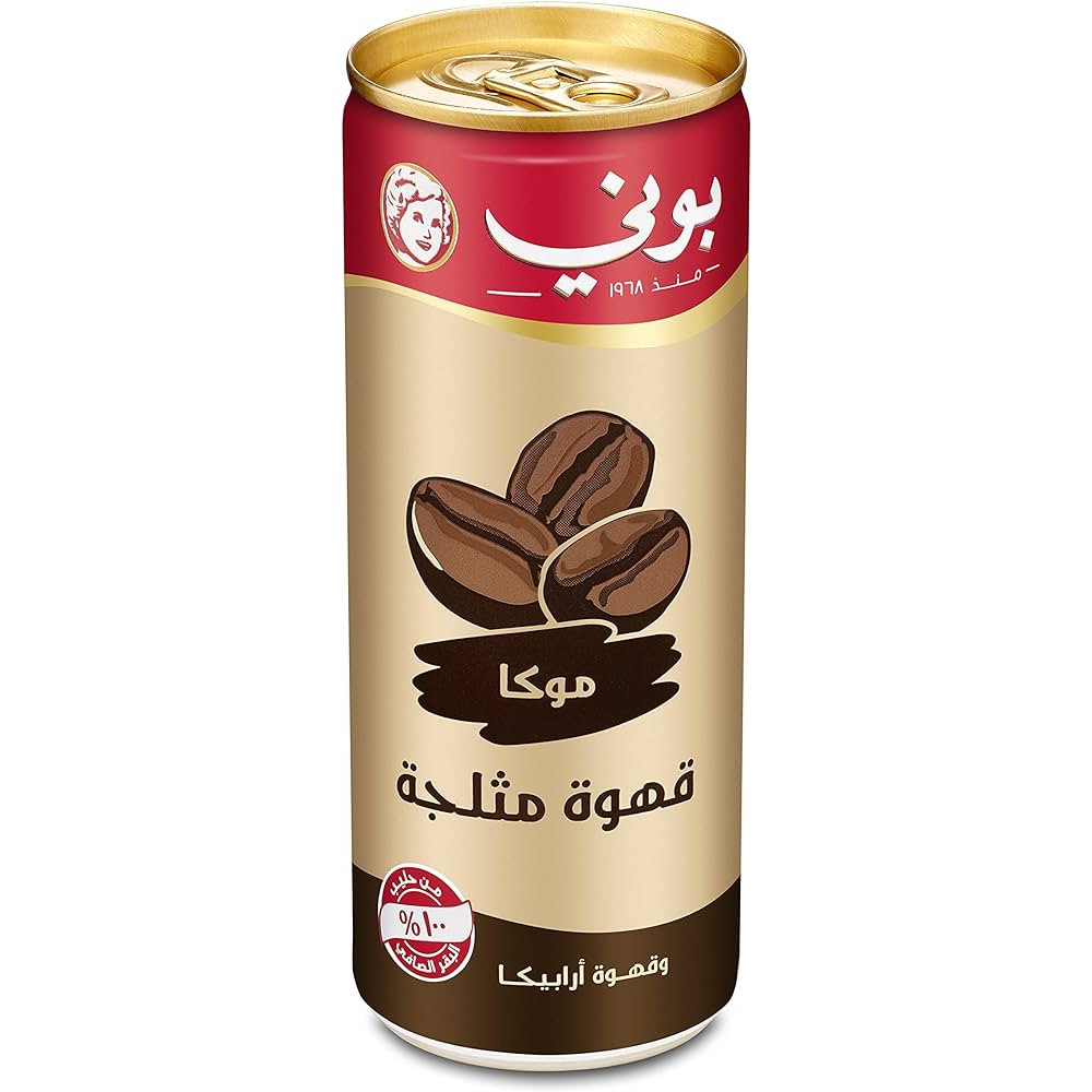 بوني موكا قهوة مثلجة 250 مل